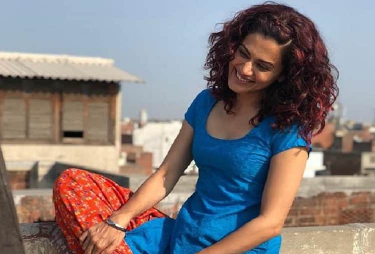 Manmarziyan Love Sonia Mitron film box office collection day 2
