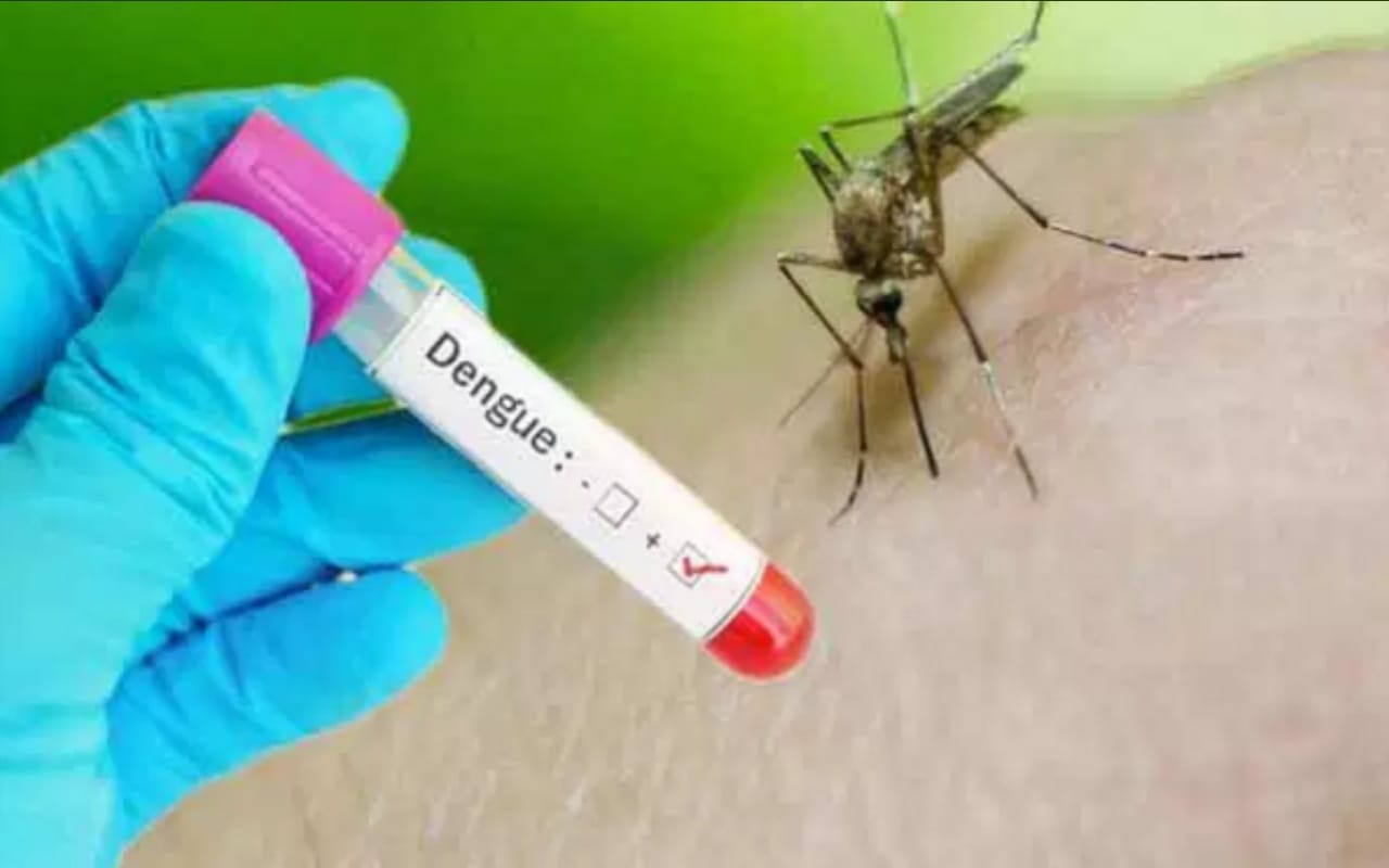 Dengue Chikungunya are not to be afraid These caution will help you to fight fever