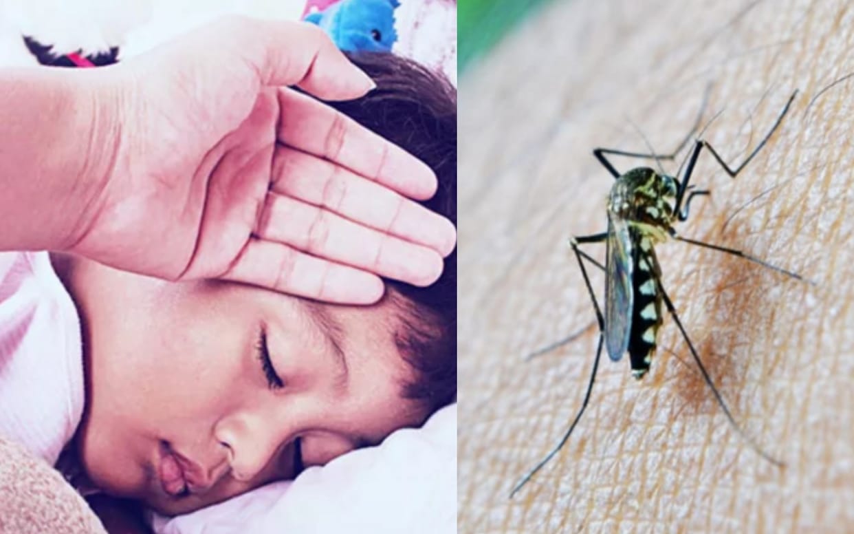 alert : If cough is fever, do not send children to school