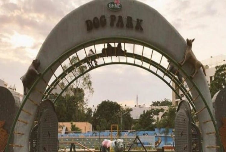 When Was The First Dog Park Made