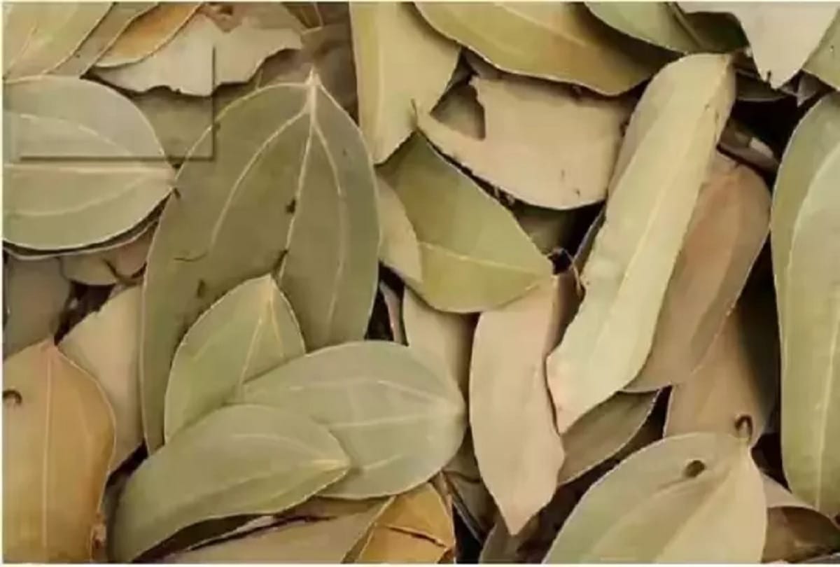 Burn sharp leaf Mosquitoes will run away from home