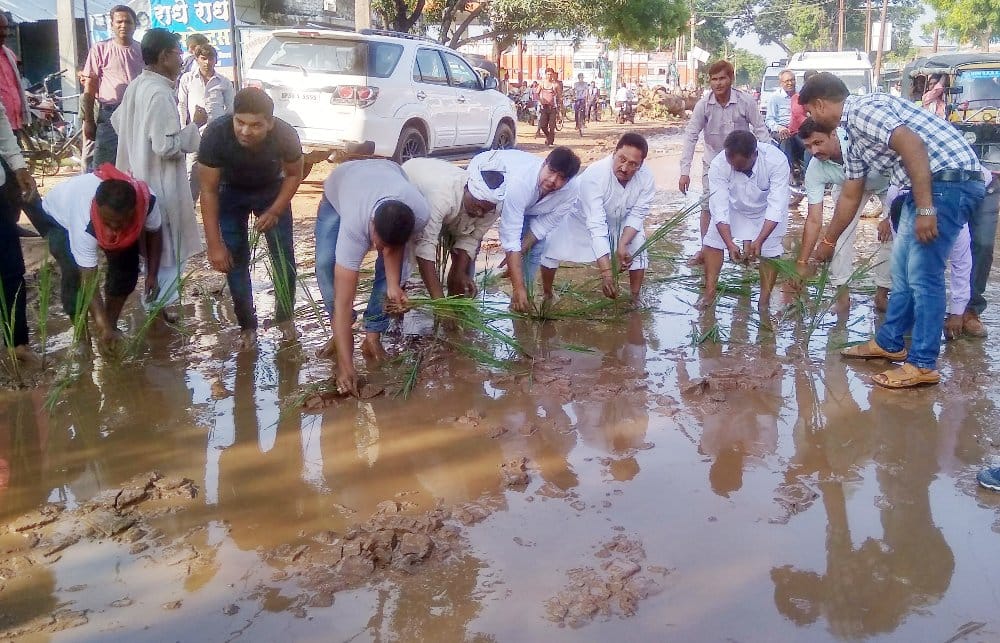 पूर्व सांसद ने क्षतिग्रस्त सड़क पर की धान की रोपाई