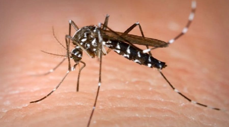Death from dengue of a student in western UP, many serious