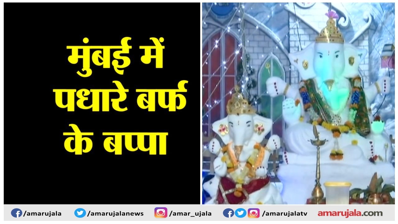 ICE BAPPA