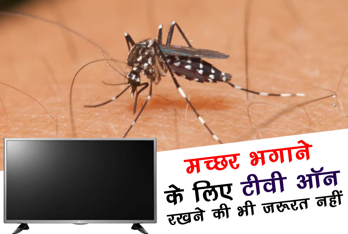 LG launches ‘Mosquito Away TV’ which costs up to Rs 47,500