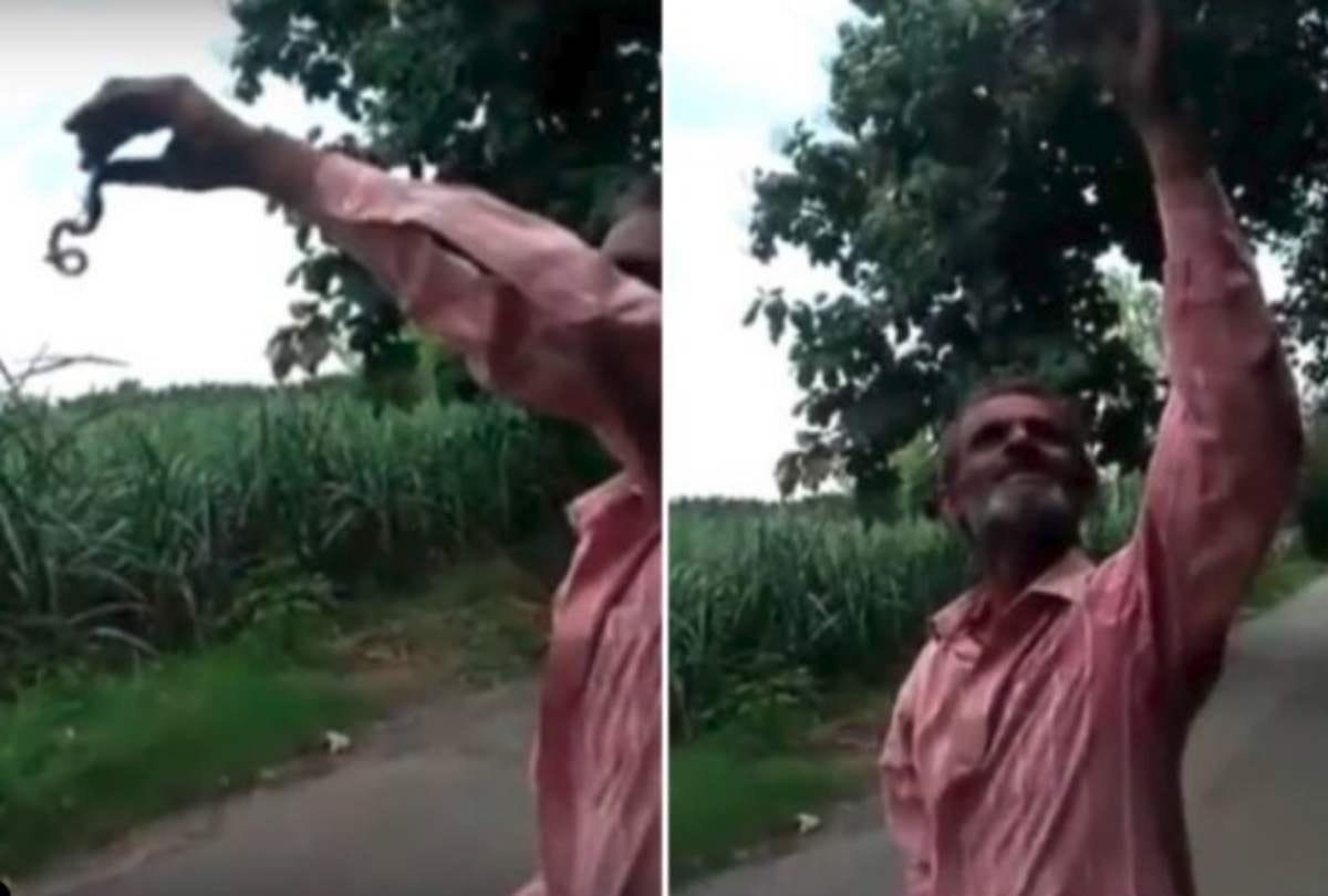 Man Eats Live Snake At Amroha In Uttar Pradesh Dies