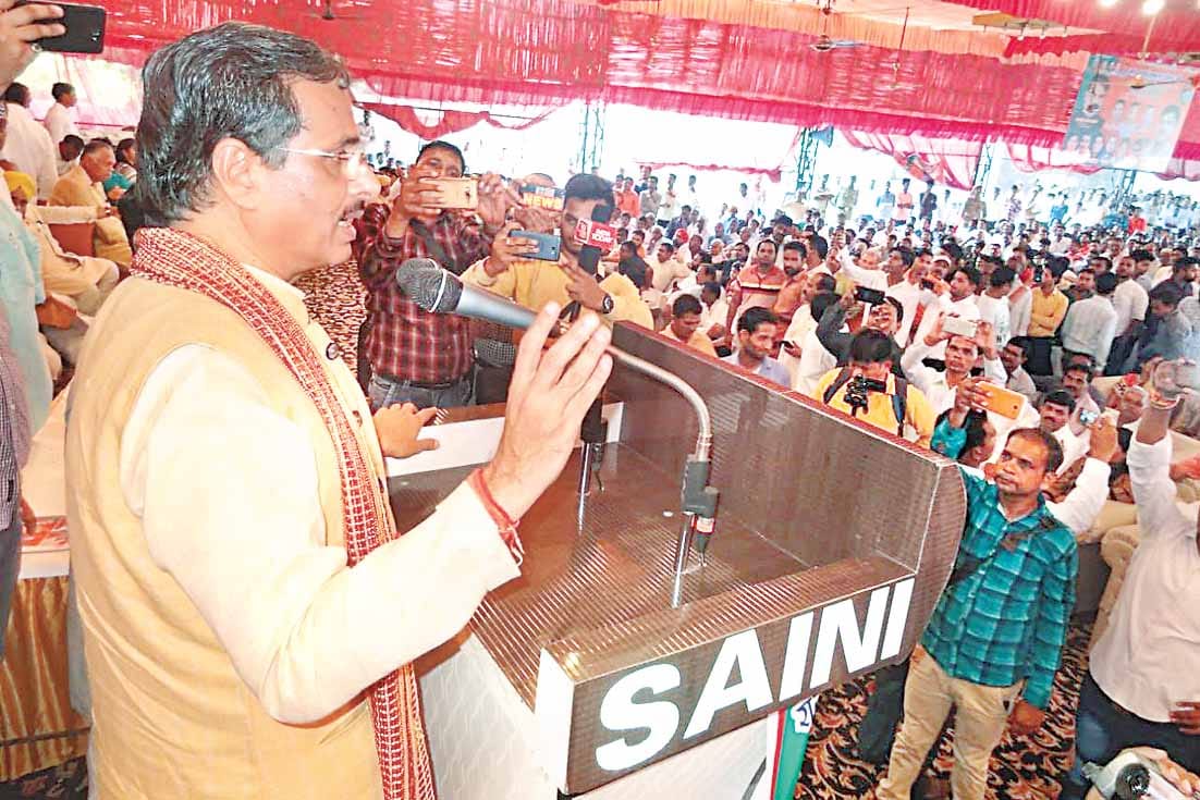 wool kalyan board