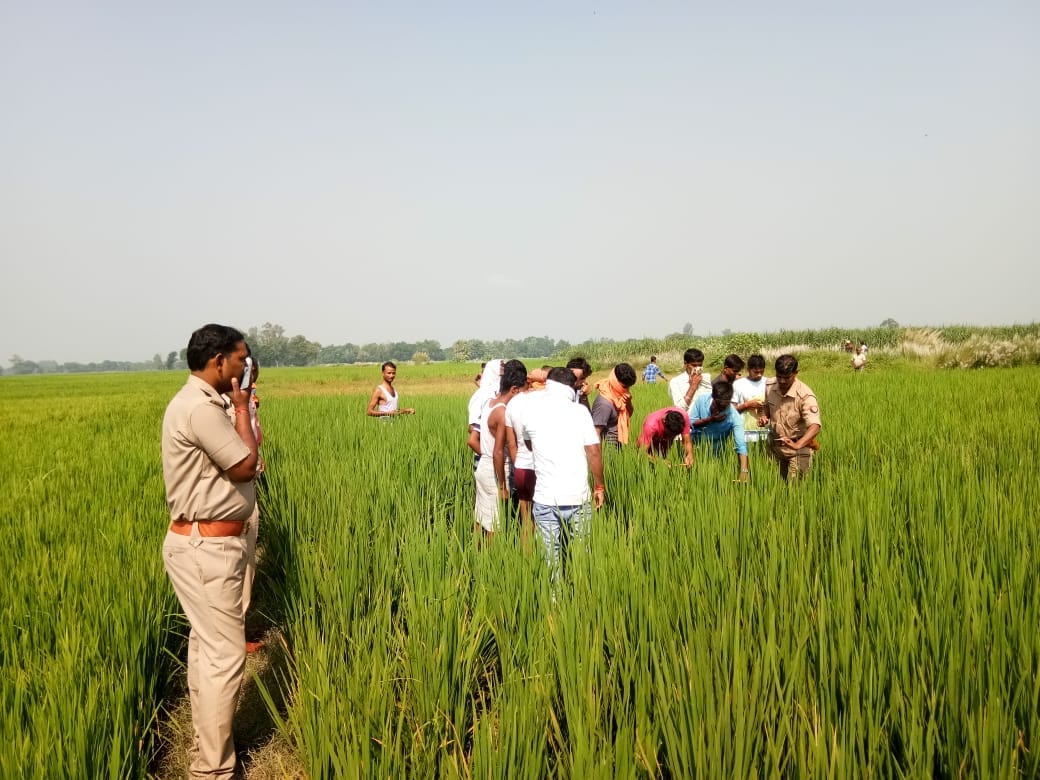 धान के खेत में मिला महिला का कंकाल