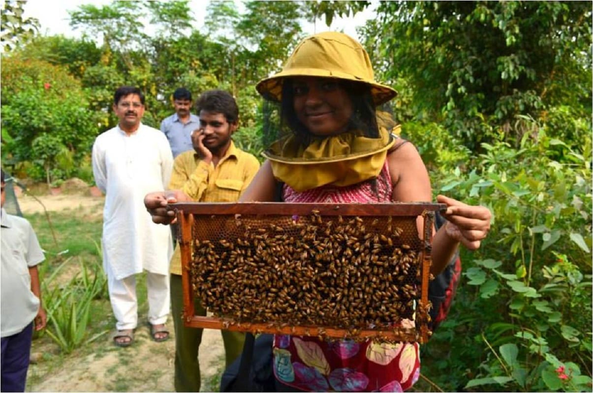 how to cure if insects bite in monsoon