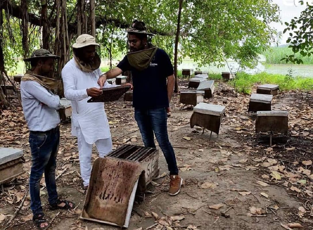 Apiculture got status of agricultural means Promote honey production with crops