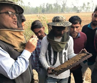 Student of Hansraj College helping farmers learn Apiculture and become entrepreneur