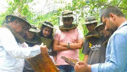 Student of Hansraj College helping farmers learn Apiculture and become entrepreneur