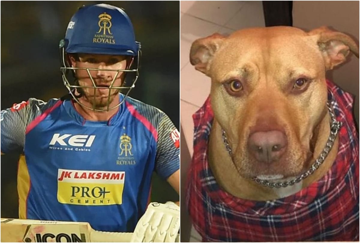 Australian Cricketer D'Arcy Short Bitten by His Dog