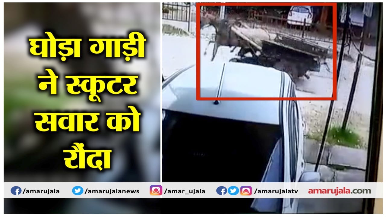INDIA NEWS