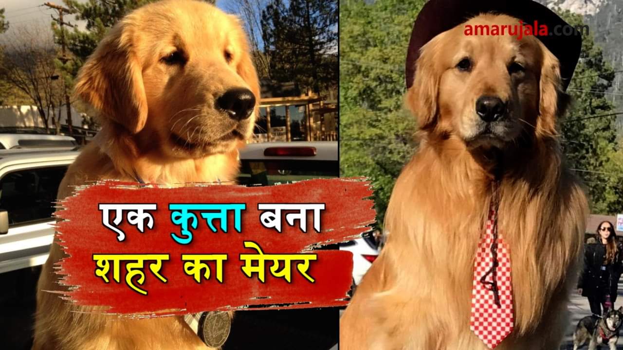 प्रतीकात्मक तस्वीर