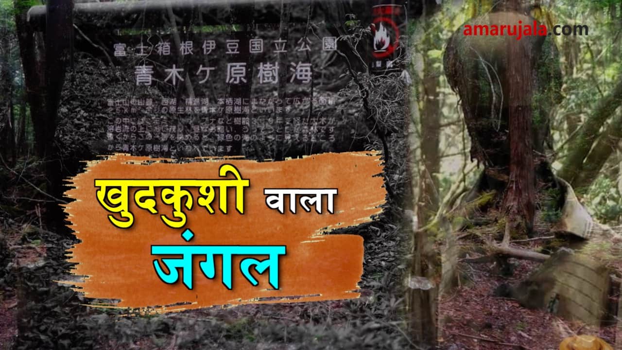 प्रतीकात्मक तस्वीर