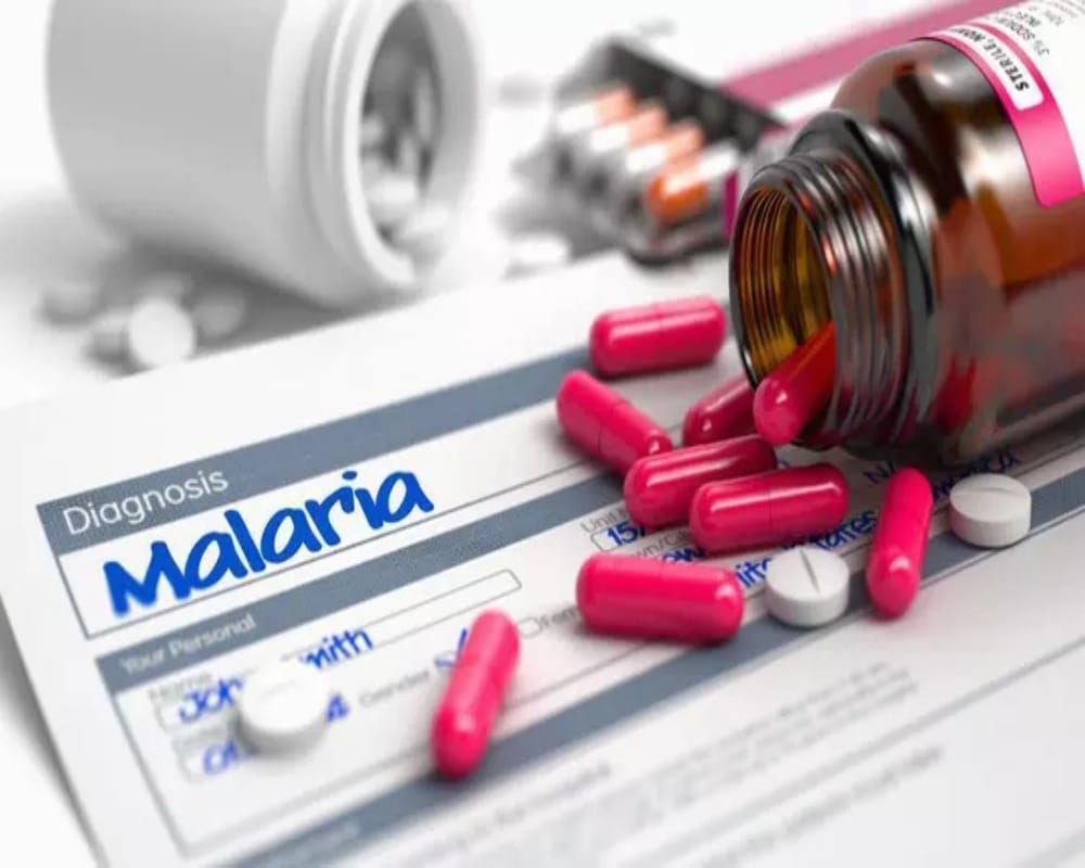 World Malaria Day 2023 know malaria Symptoms Causes and Prevention in hindi
