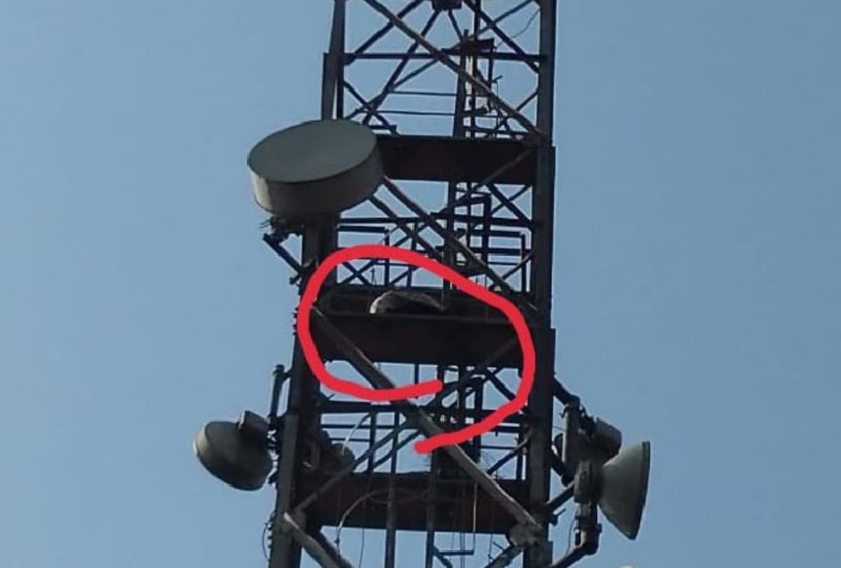 wife goes to parents house then husband climb on tower in anger for 7 hours in delhi