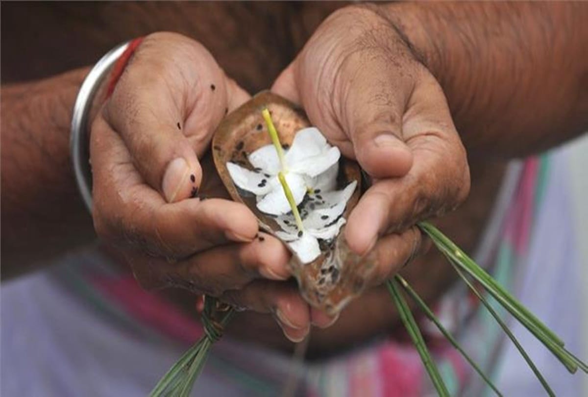 Pitru Dosha In Kundali Know Reason Effects And Remedies Pitra Dosh Ke Upay