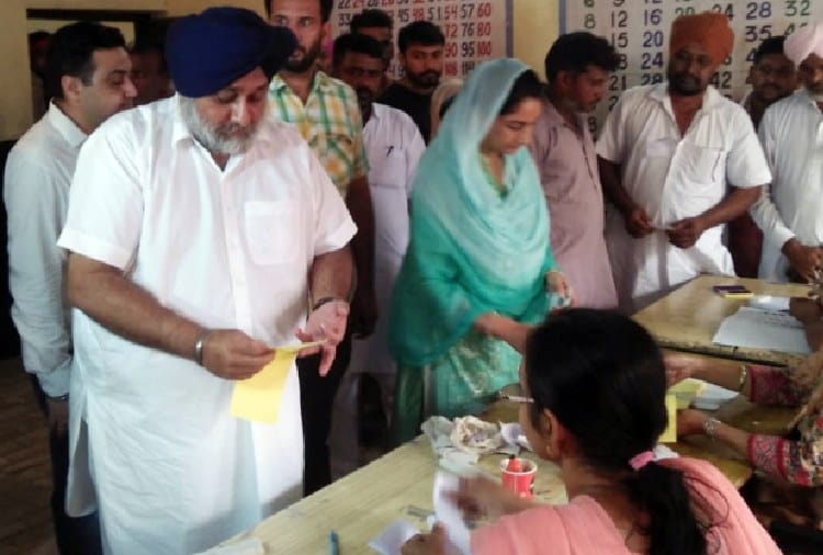 Punjab Zila Parishad and Panchayat Samiti Election, Congress vs Akali Dal vs AAP
