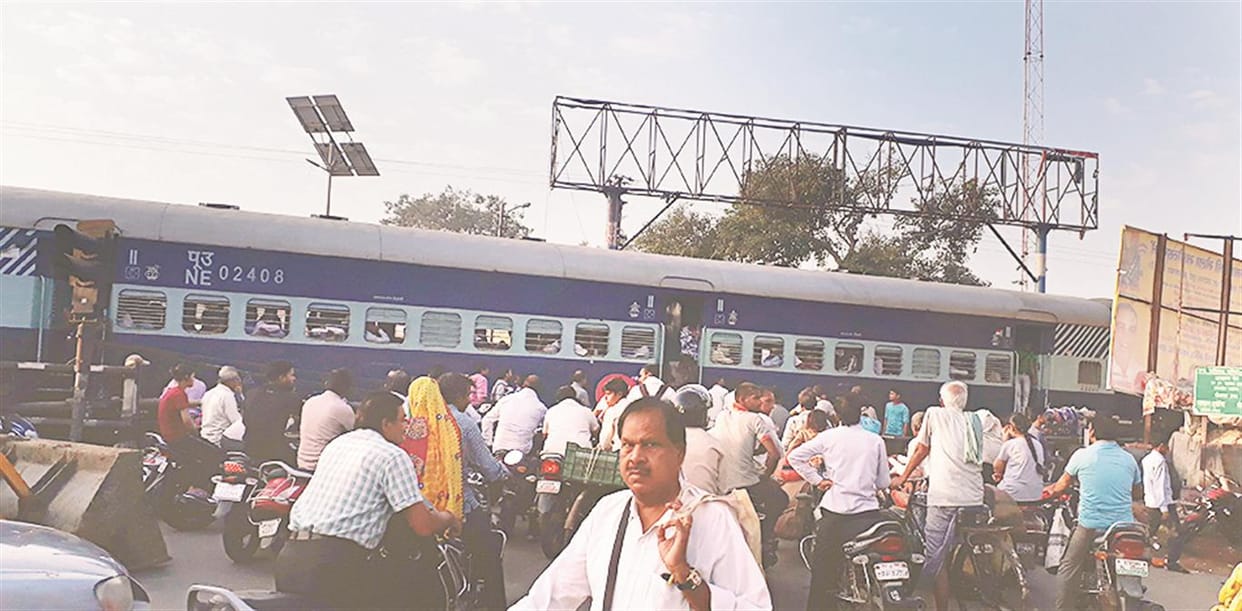 Emergency breaks by the swarm of cows before the train