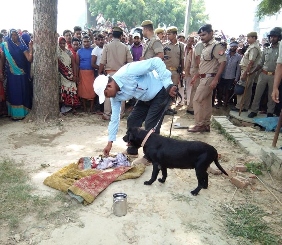 These are the reason of Biggest crime in varanasi