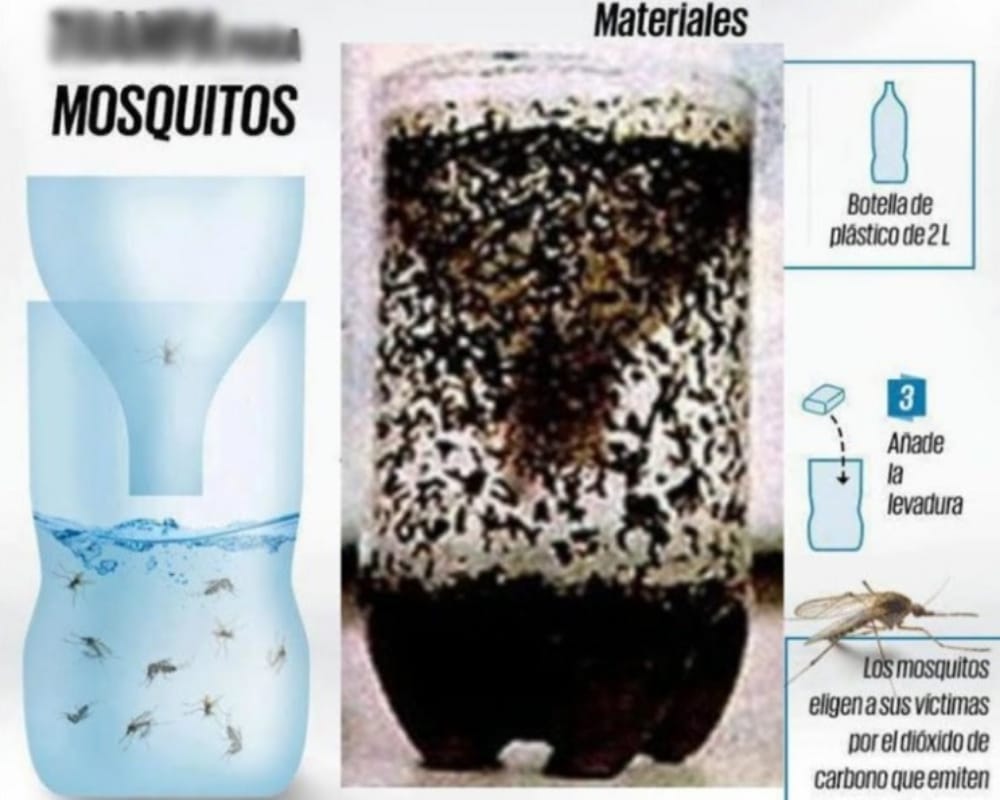 Know how to make mosquito trap at home with cold drink bottle