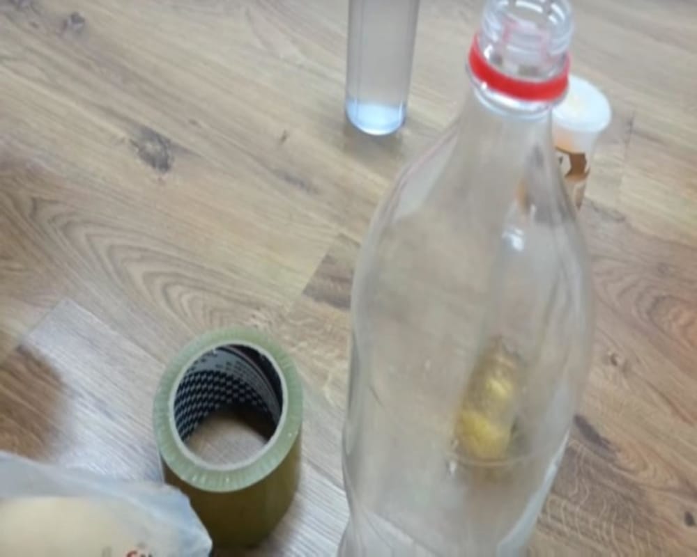 Know how to make mosquito trap at home with cold drink bottle
