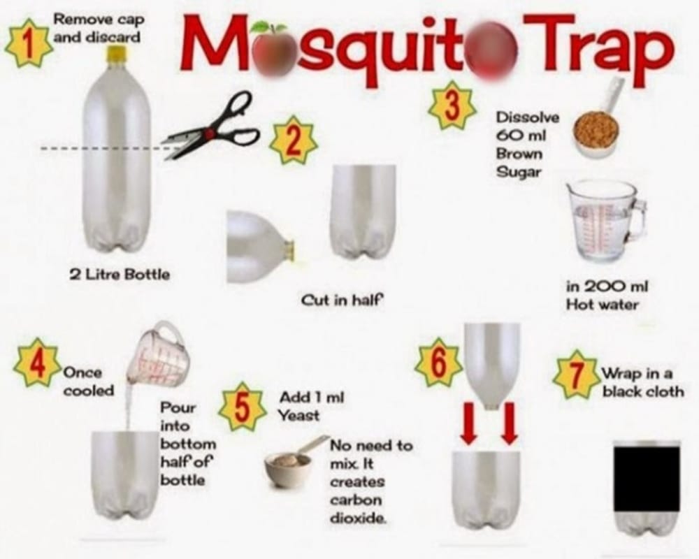 Know how to make mosquito trap at home with cold drink bottle
