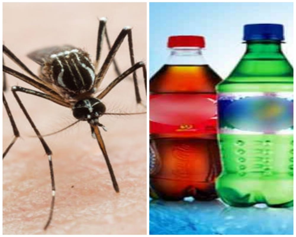 Know how to make mosquito trap at home with cold drink bottle