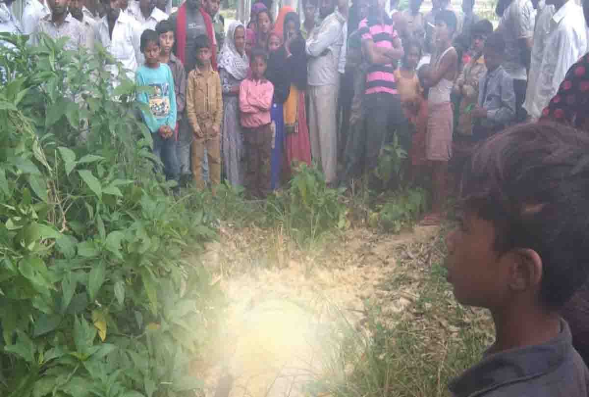 घटनास्थल स्थल पर टूटी पड़ी झाडिय़ां