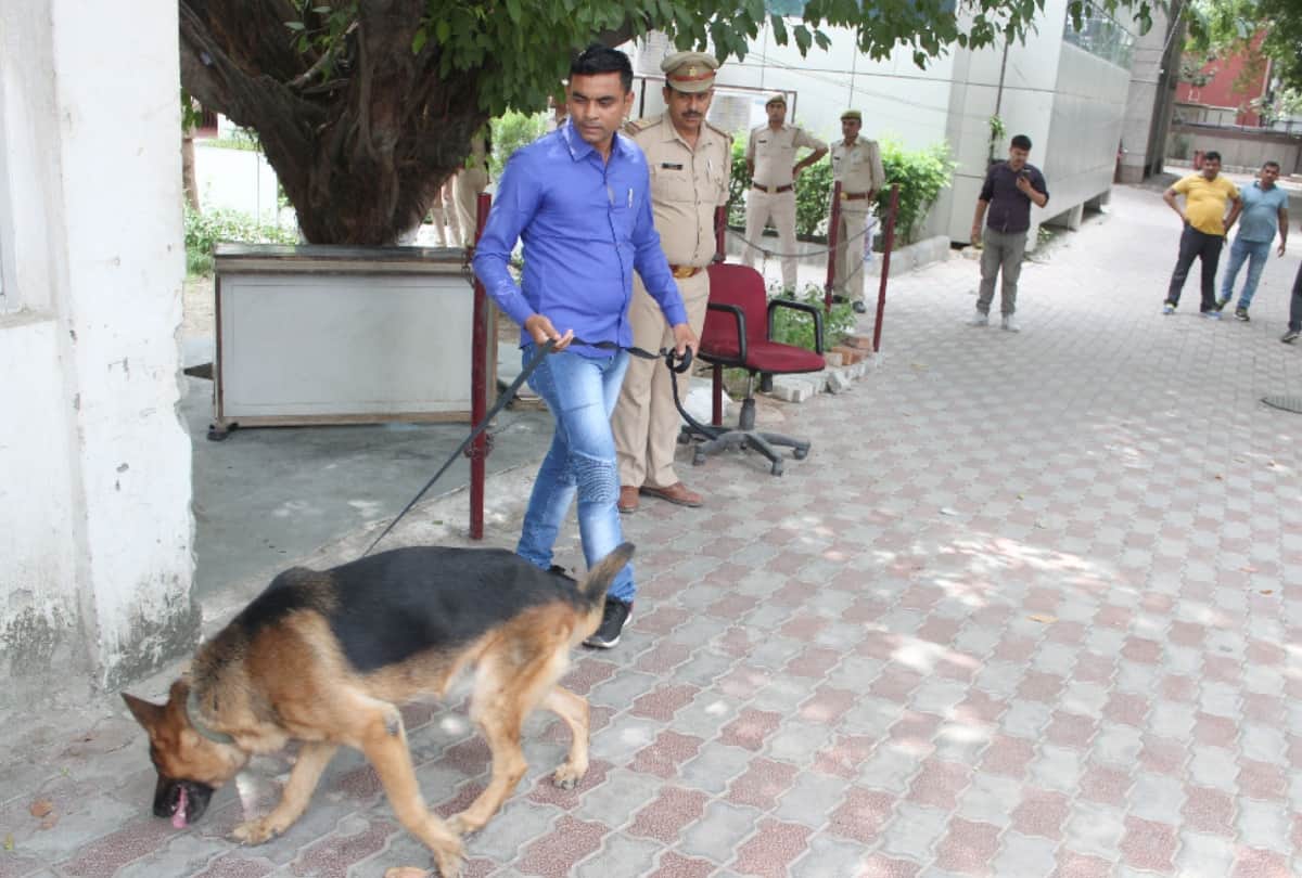 PNB bank robbery two security guard killed story in noida
