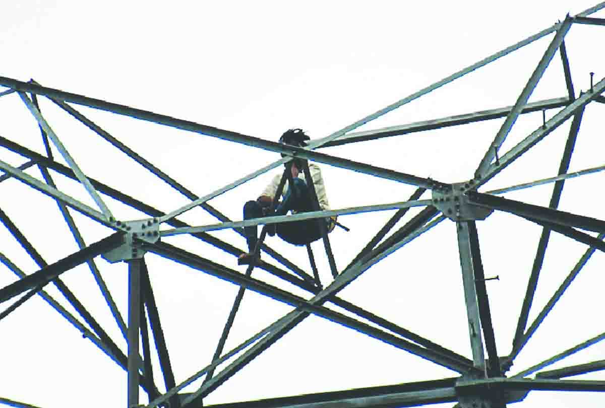 husband climbed up pole of high tension line due to wife