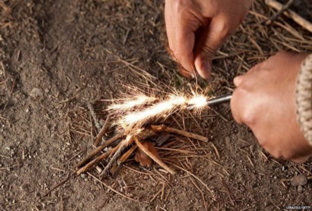 Which Human race learned to burn the fire