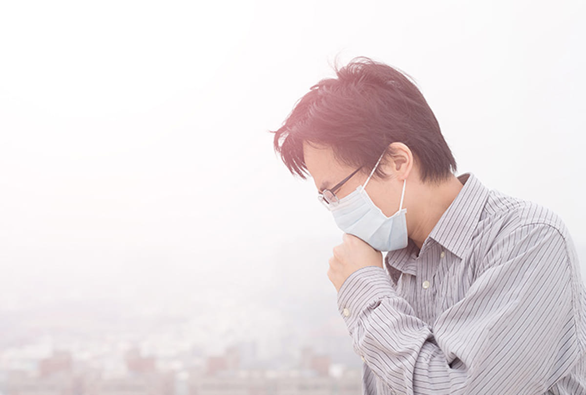 Air harmful save the lungs from October to February