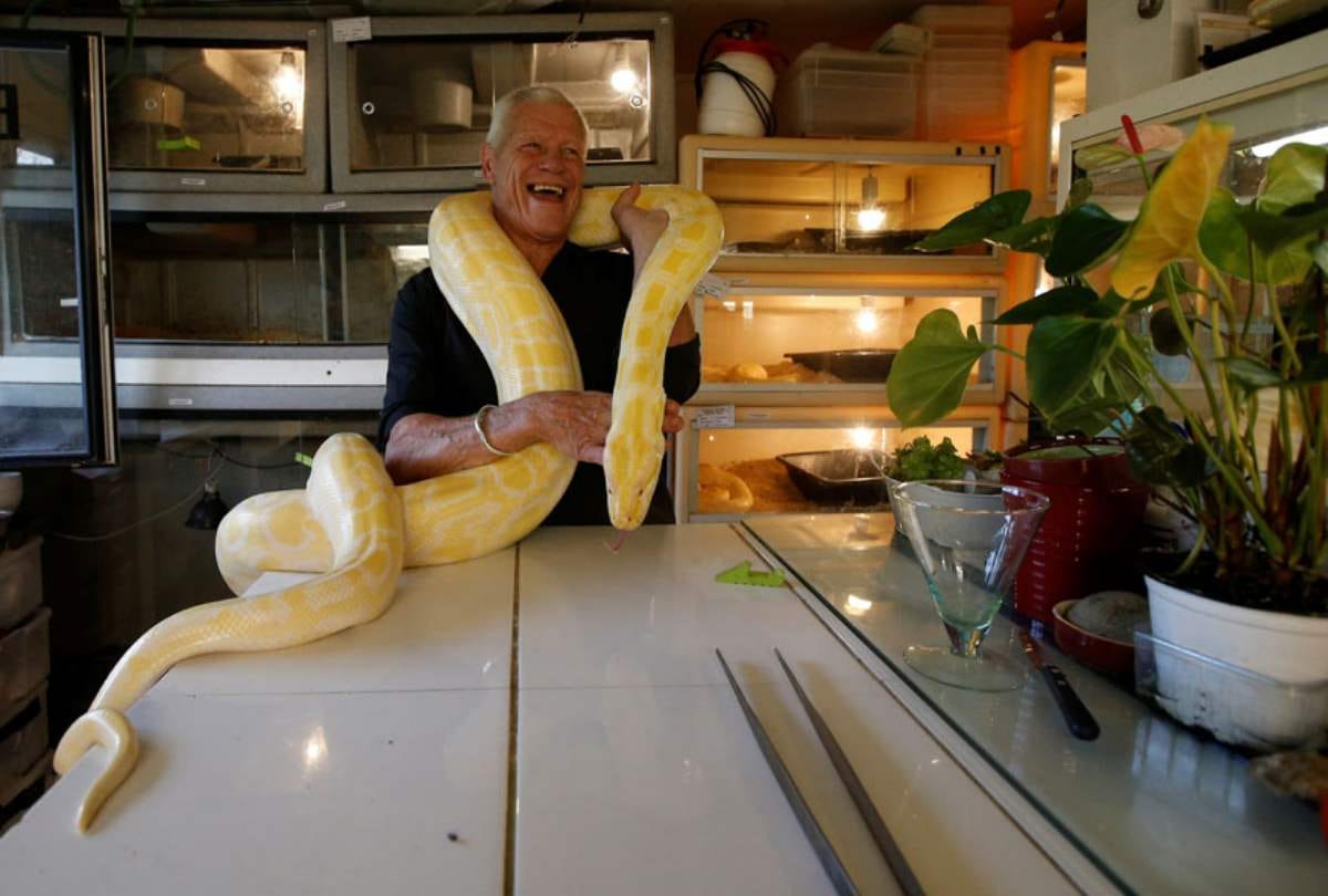 From king cobra to aligators this man pets 400 deadly reptiles in home
