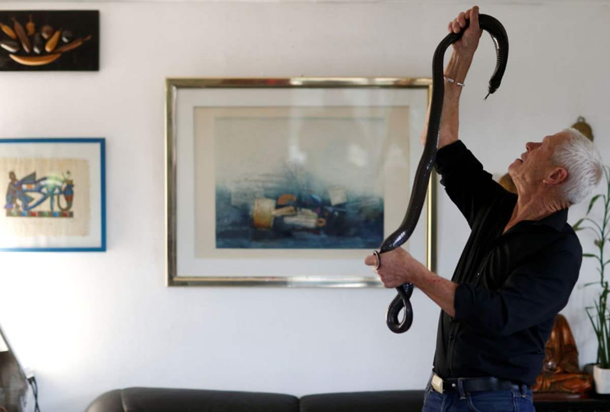 From king cobra to aligators this man pets 400 deadly reptiles in home