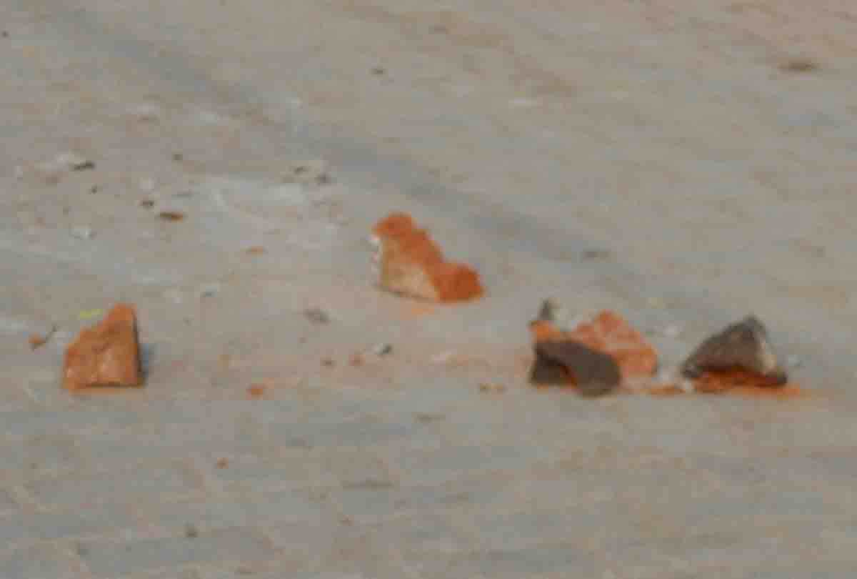stone throwing and firing during Ganesh Visarjan Yatra