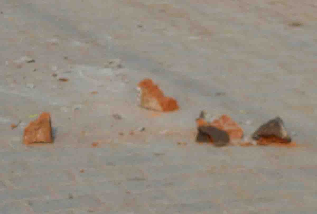 stone throwing and firing during Ganesh Visarjan Yatra