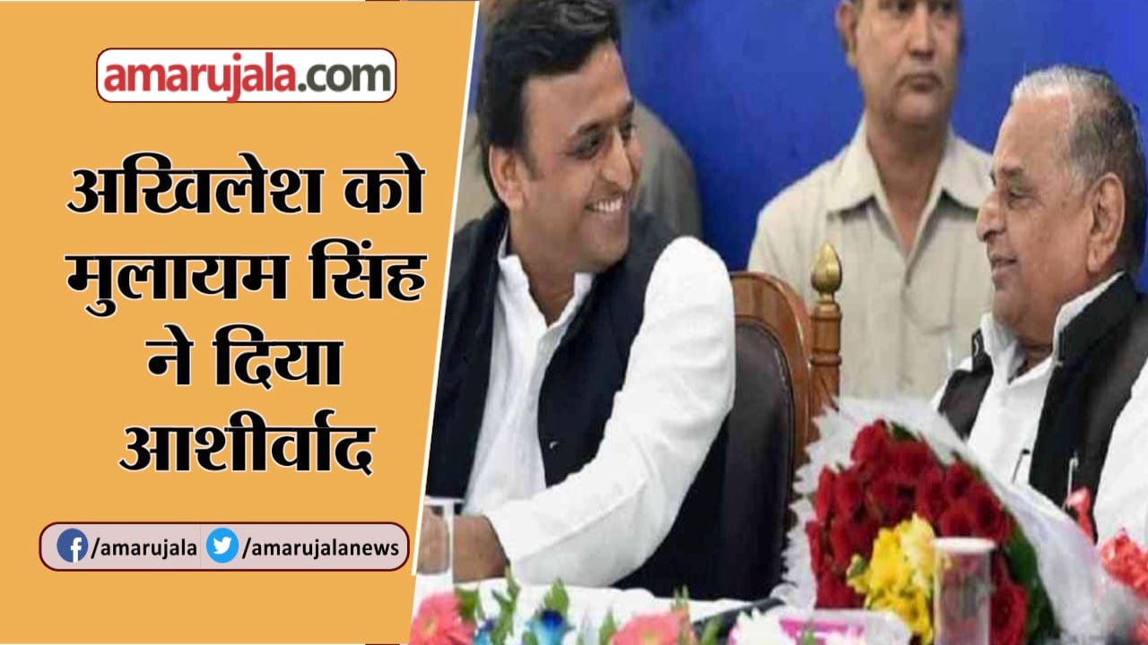 यूपी न्यूज