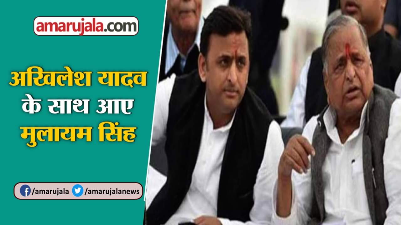 यूपी न्यूज