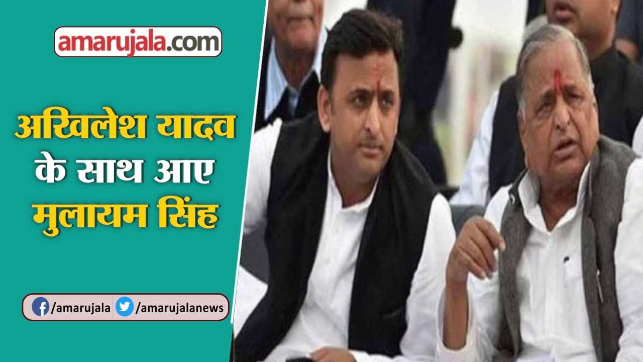 यूपी न्यूज