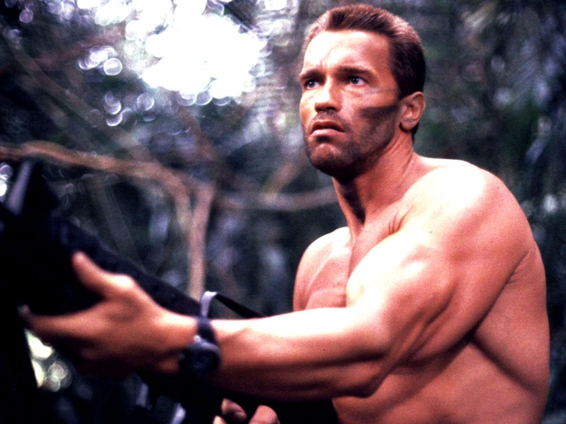 A young man kicked to Hollywood star Arnold Schwarzenegger in South Africa