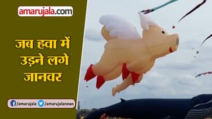 GERMANY KITE FESTIVAL BERLIN KITE FESTIVAL PIG WHALE FLYING SPURS DELIGHT
