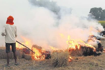 Haryana: पराली जलाने पर 331 चालान, आठ लाख 60 हजार रुपये का जुर्माना, हॉटस्पॉट की विशेष निगरानी 331 challans issued for burning stubble in Haryana