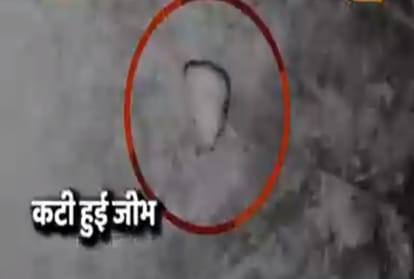 woman cut husband tongue afer dispute in delhi