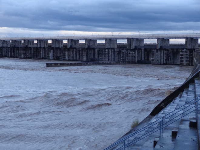 Yamuna's water level reduced due to snowfall, hydroelectric projects affected