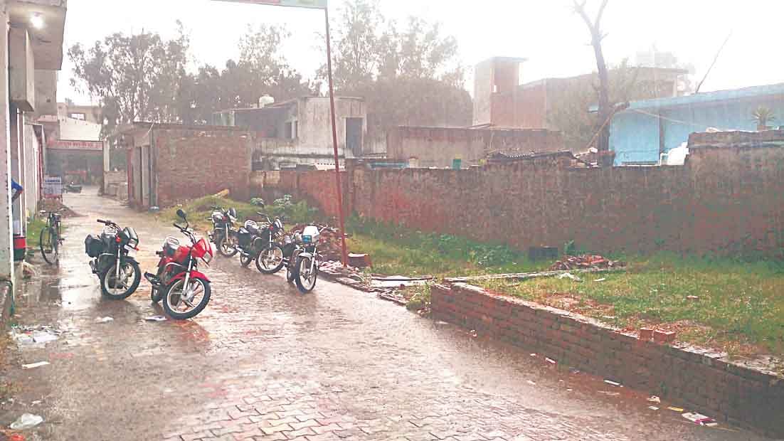 rain destroy the paddy crops in amroha, building felt