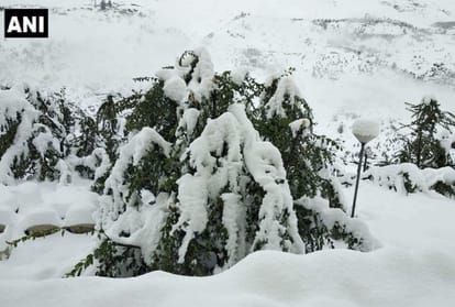 large scale loss due to heavy rainfall and snowfall in himachal