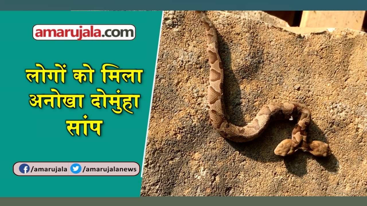 प्रतीकात्मक तस्वीर